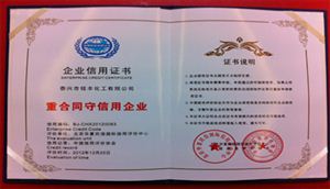 企业信用证书